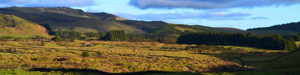 Turiazores-in-Portugal