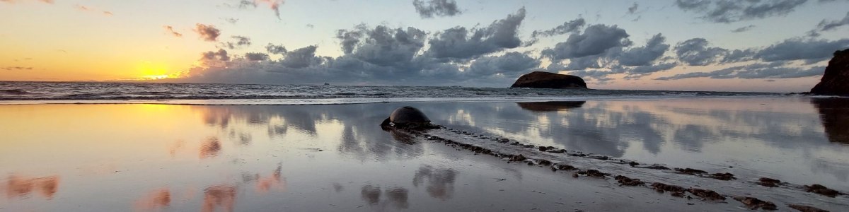 Adore-Comores-in-Comoros