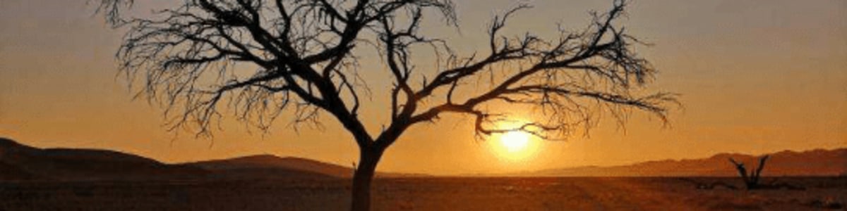 windhoek-tour-guide