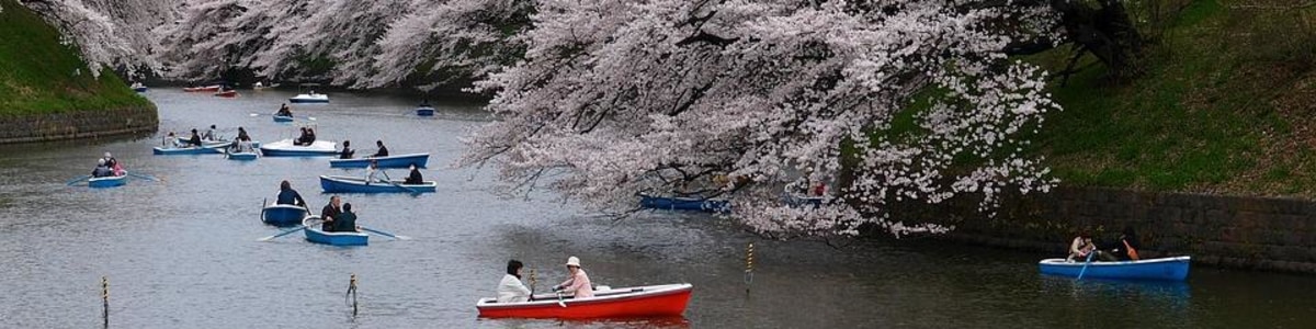 tokyo-tour-guide