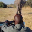 jackpumba-maun-tour-guide