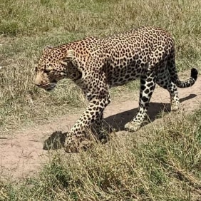 vincent-nairobi-tour-guide