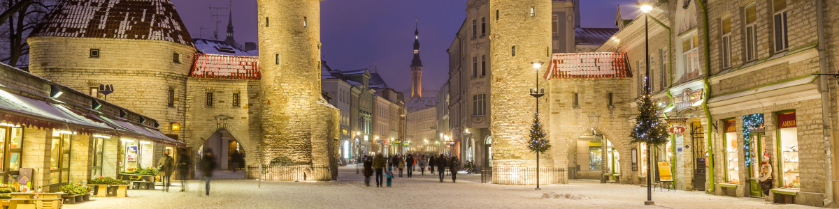 tallinn-tour-guide