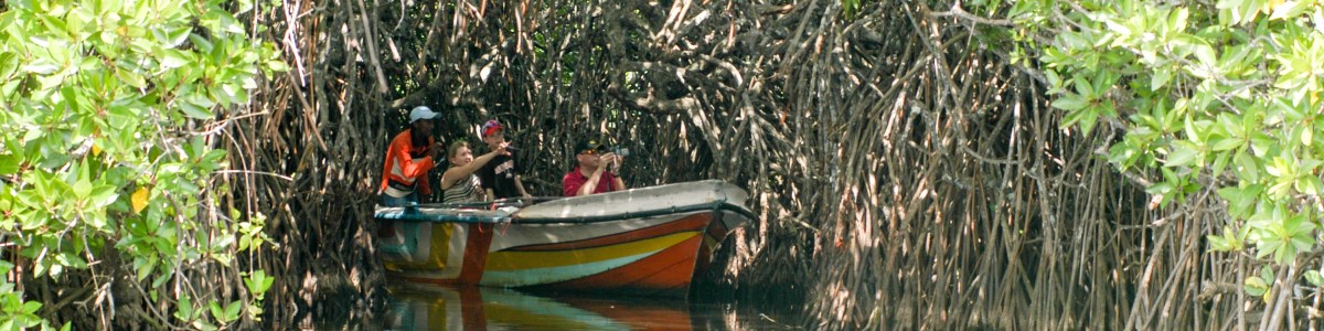 Ceylenese-Tours-in-Sri-Lanka