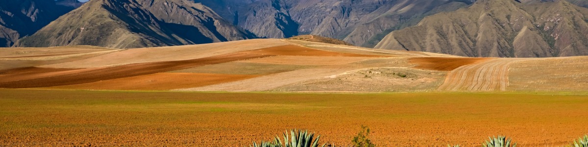 cusco-tour-guide