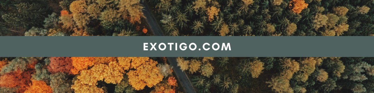 Exotigo-in-Iran