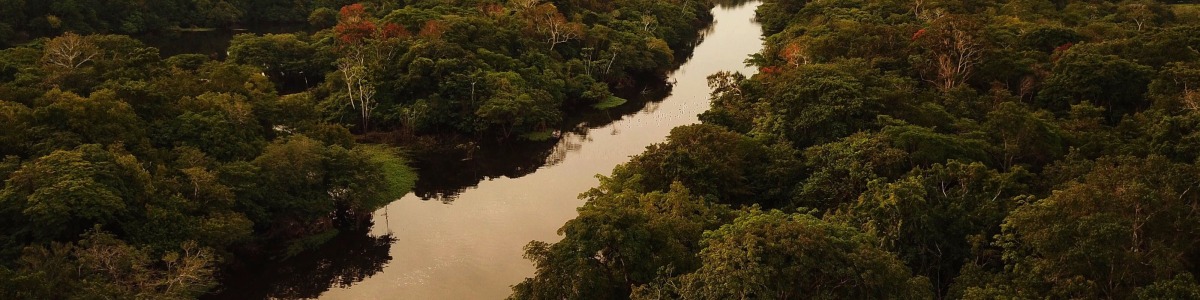 manaus-tour-guide