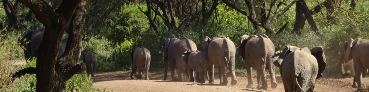 morogoro-tour-guide