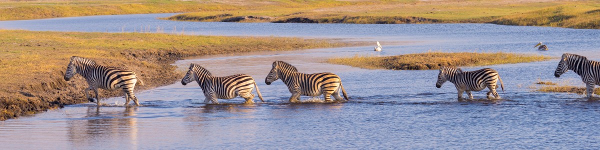 Little-Roz-Safaris--And-Tours-in-Zimbabwe