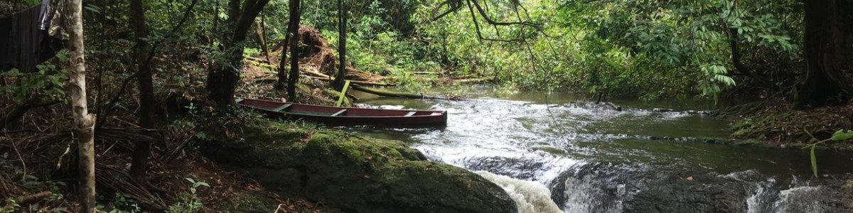 manaus-tour-guide