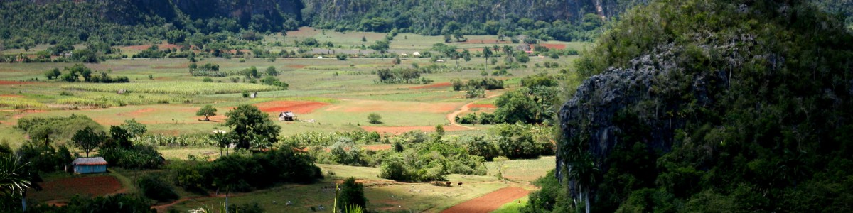 viñales-tour-guide