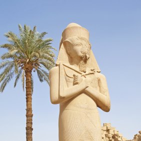 hamada-luxor-tour-guide