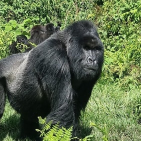 augustin-kigali-tour-guide