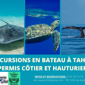 degallery-papeete-tour-guide