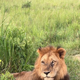 novath-mikuminationalpark-tour-guide