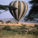 wambua-masaimara-tour-guide