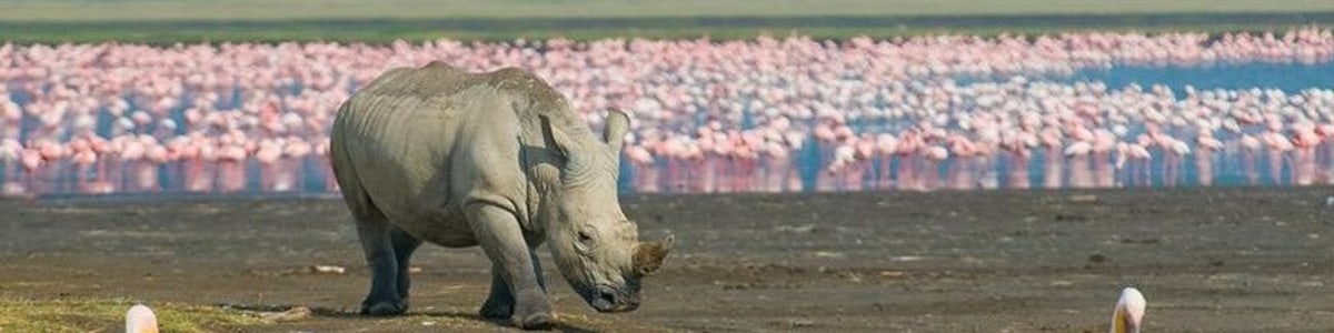 LiReise-Tour-Safari-Experts-in-Kenya