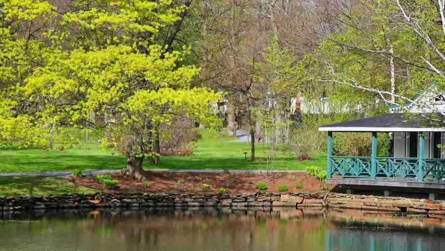 tour guide halifax