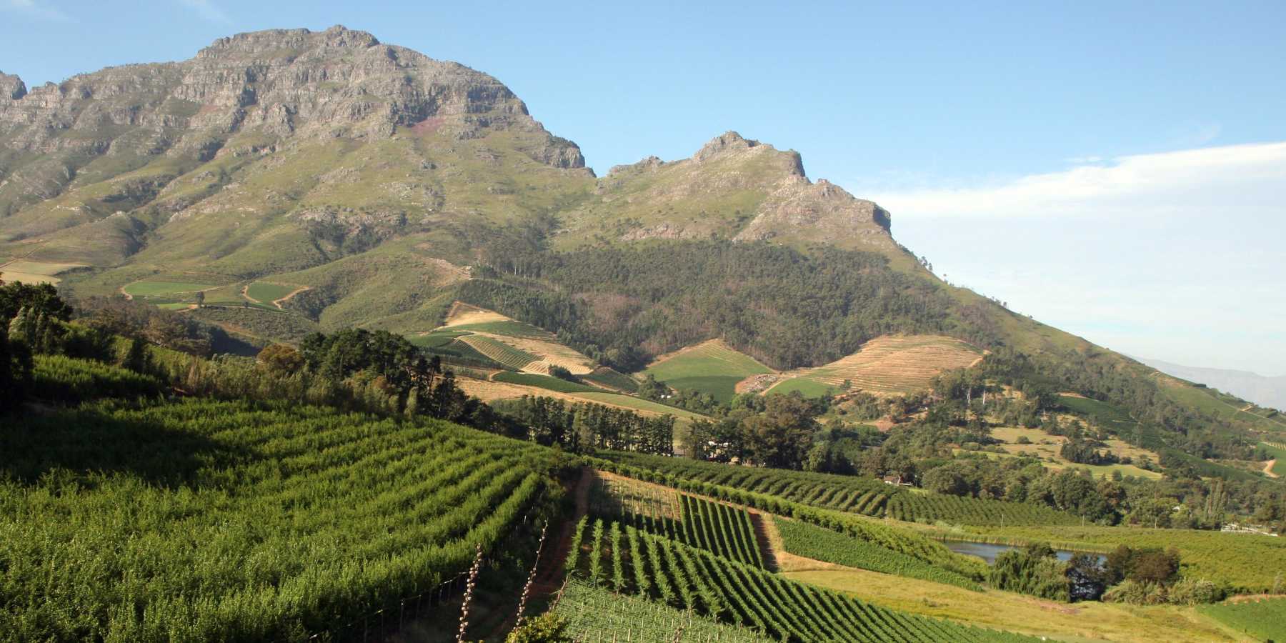 Stellenbosch