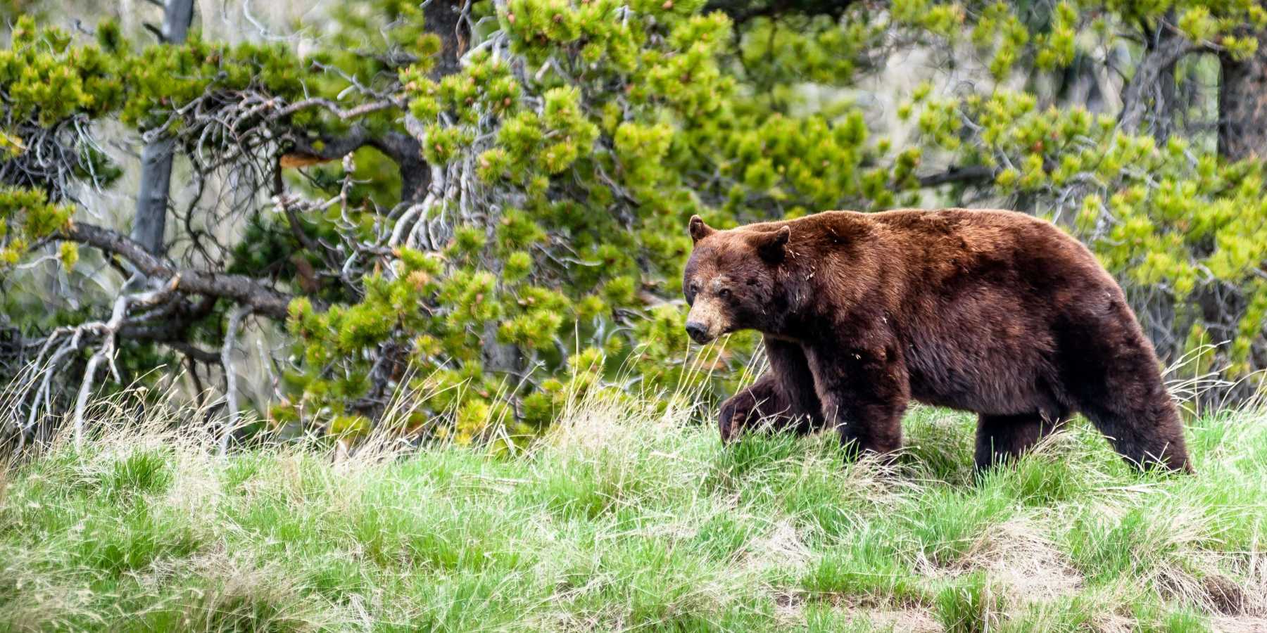Waterton Lakes National Park
