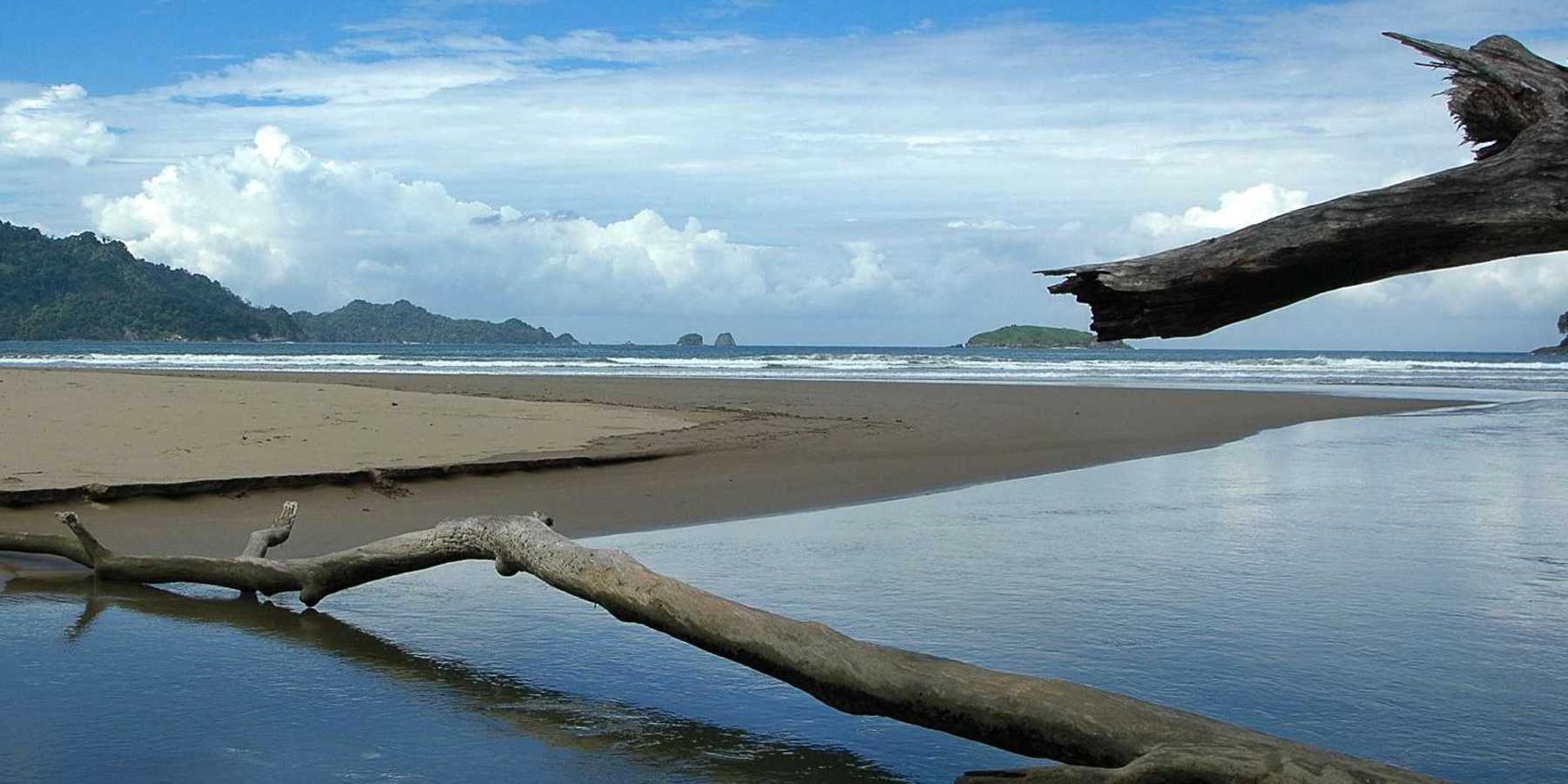 Jember
