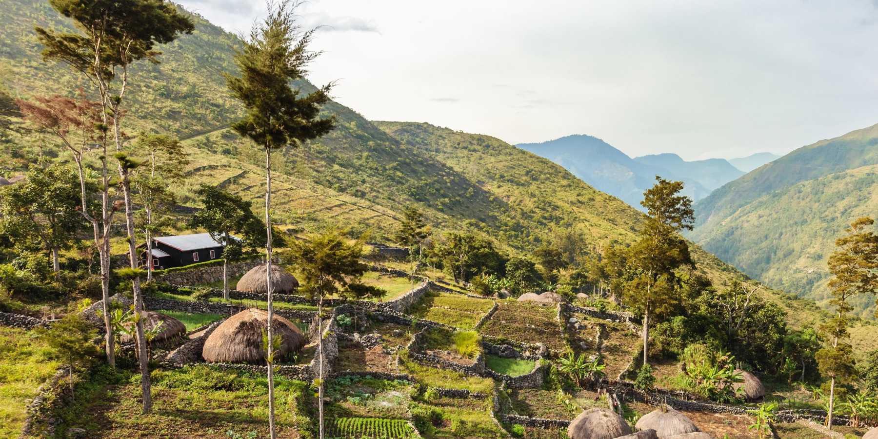 Baliem Valley