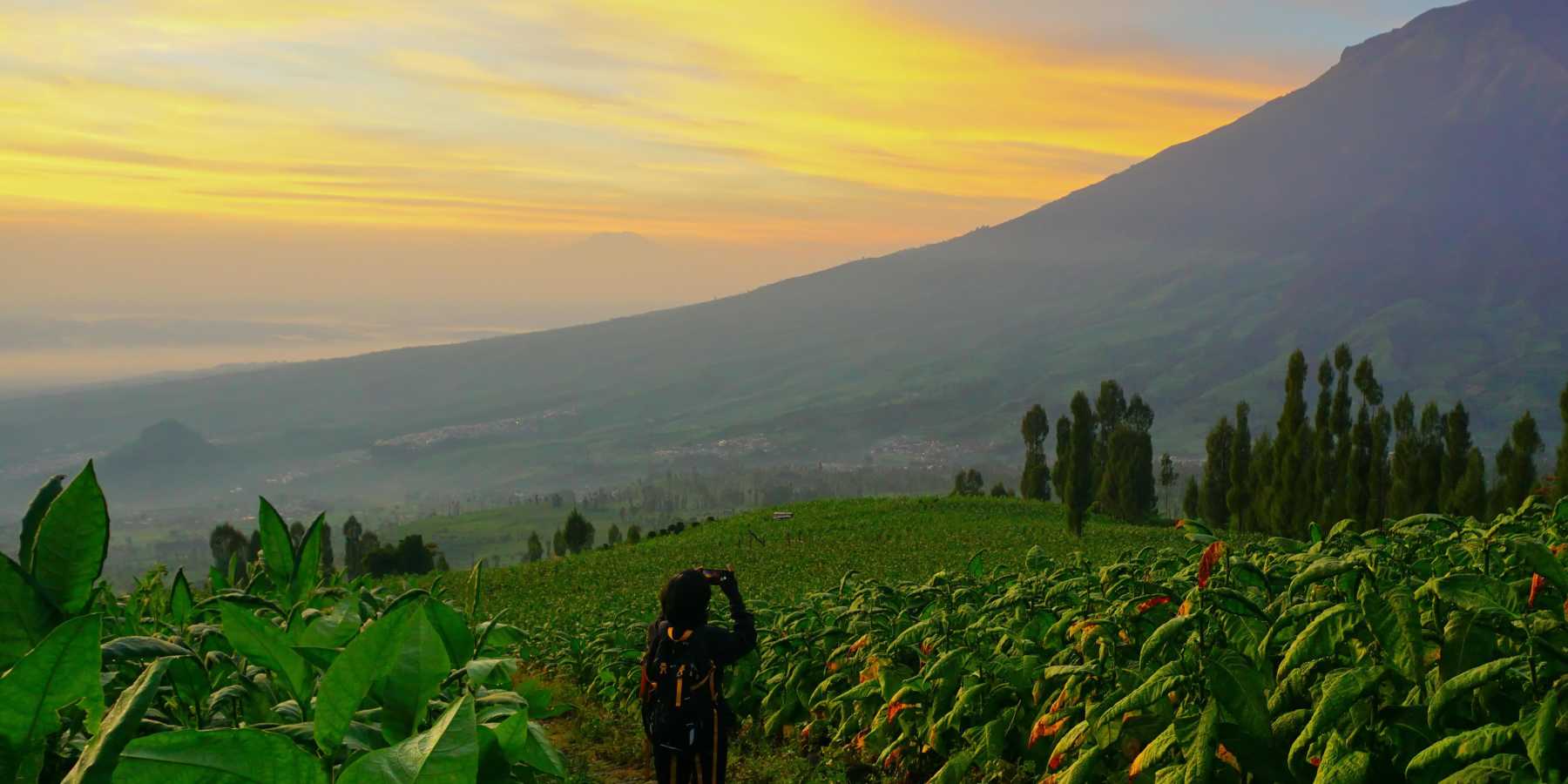 Temanggung