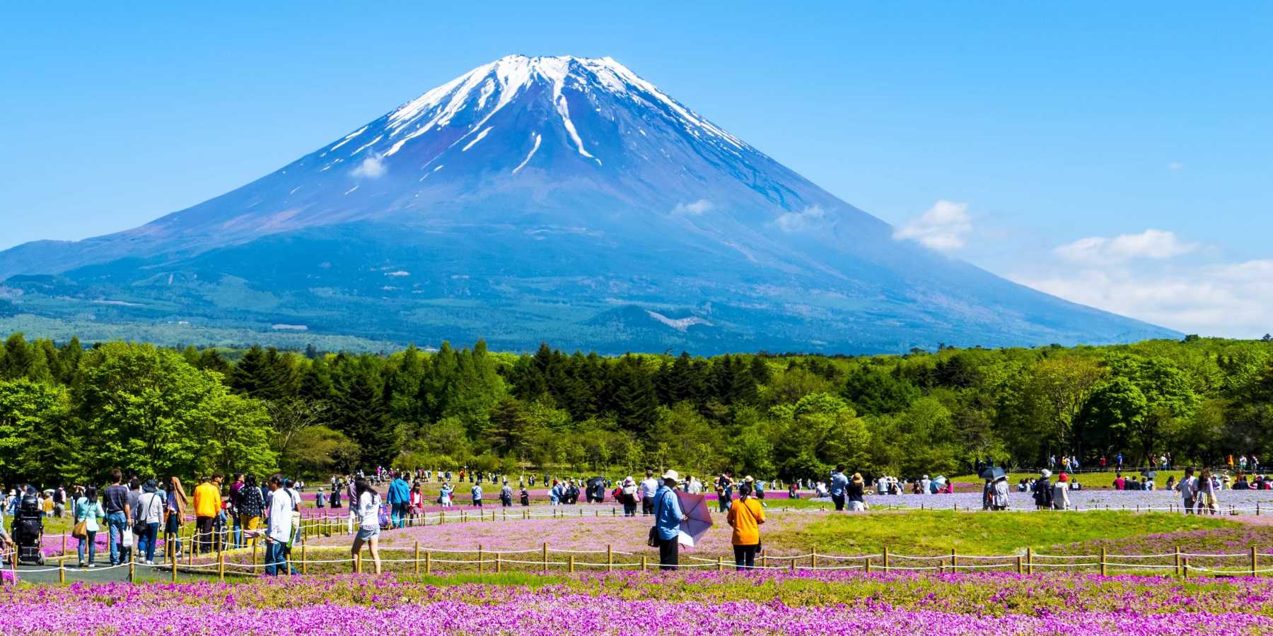 Mount Fuji