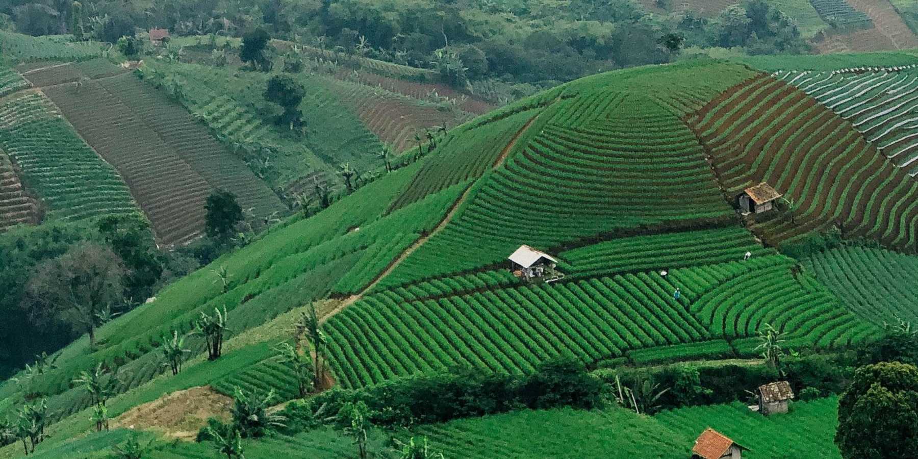 Cirebon