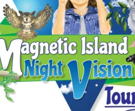 Magnetic Island Night Vision Tours  