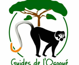 Armel-Evrard Ikoubangoye