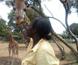 GILLIAN JOPSEPHINE P'OCHEN