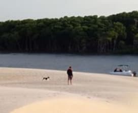 Matheus M N Meireles