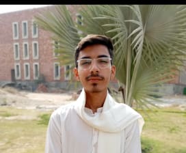 Shayan Ali