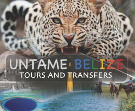Untame Belize 