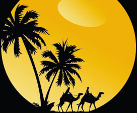 Discover Morocco Tours  