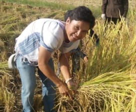 Thailand Hilltribe Holidays 