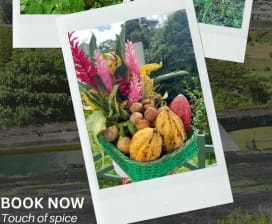 Touch of Spice Taxi and Tours 