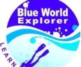 BLUE WORLD EXPLORER LTD 