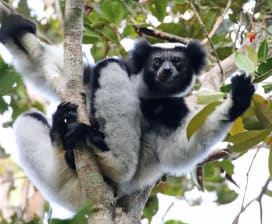 Ampano Tours Madagascar Adventure