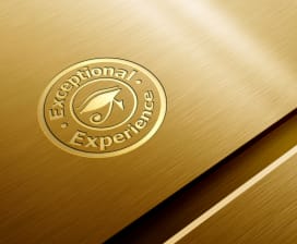 Exceptional Experience 