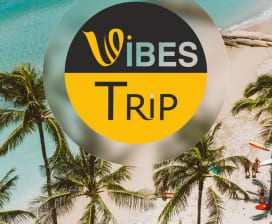 Vibes Trip 