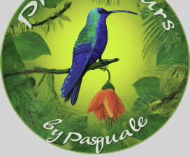   Private Tours Pasquale, Cartagena, Santa Marta, Barranquilla, Valledupar, etc...                                        by Pasquale   