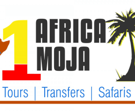 Africa Moja Tours & Transfers 