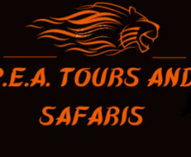 PEA Tours and Safaris 