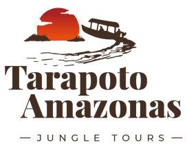Tarapoto Amazonas Jungle Tours 