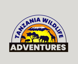 Tanzania Wildlife Adventures   