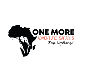 One More Adventure Safaris 