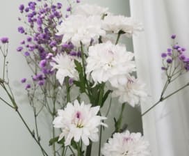 Ariuntamir Lkhagvasuren