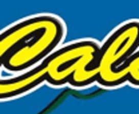 CALAIO VIAJES Y TURISMO 